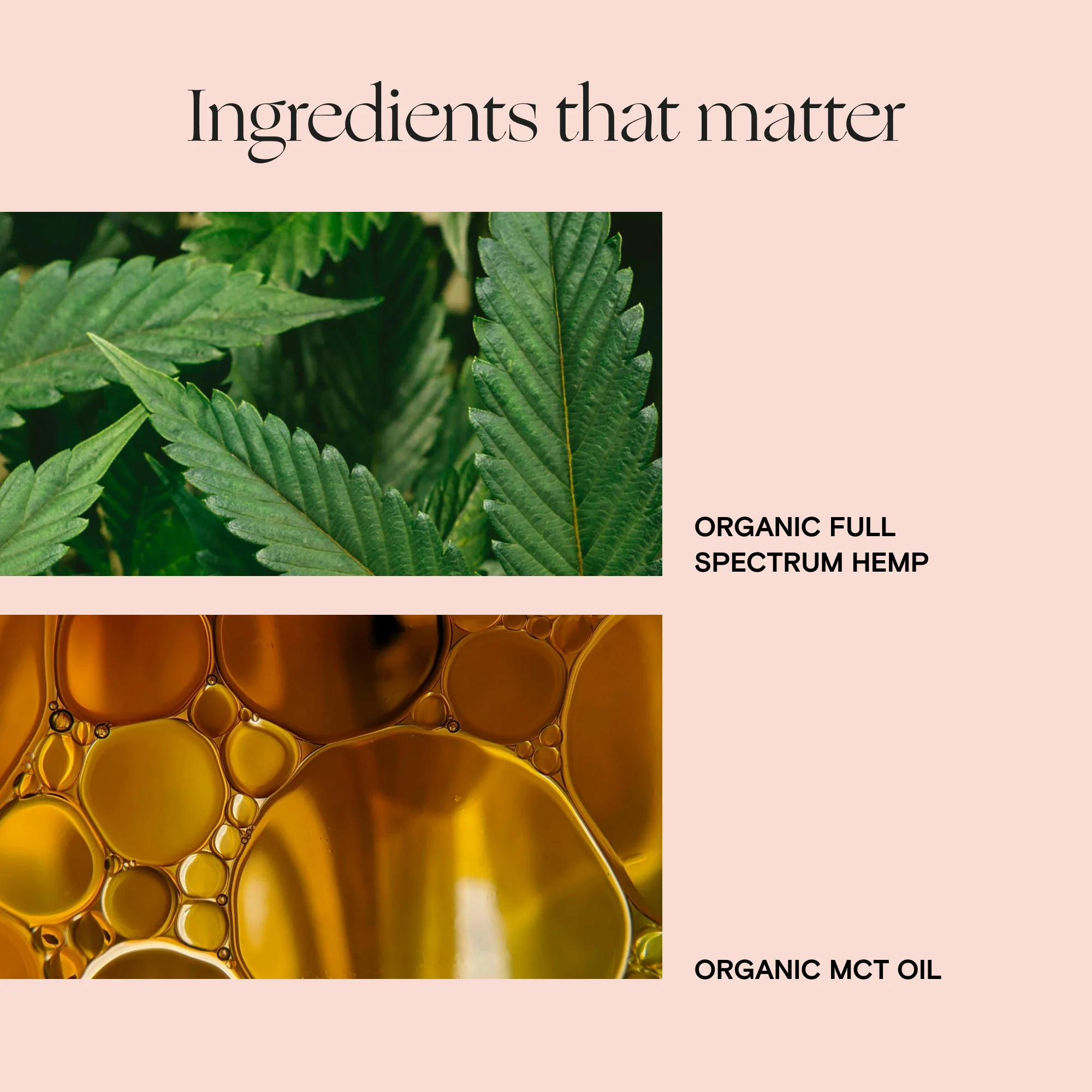 Daily Blend - Image 5